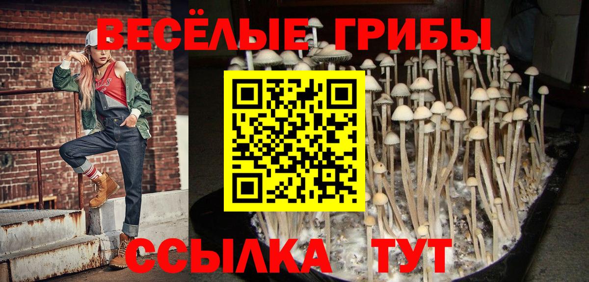 Бутират Тобольск