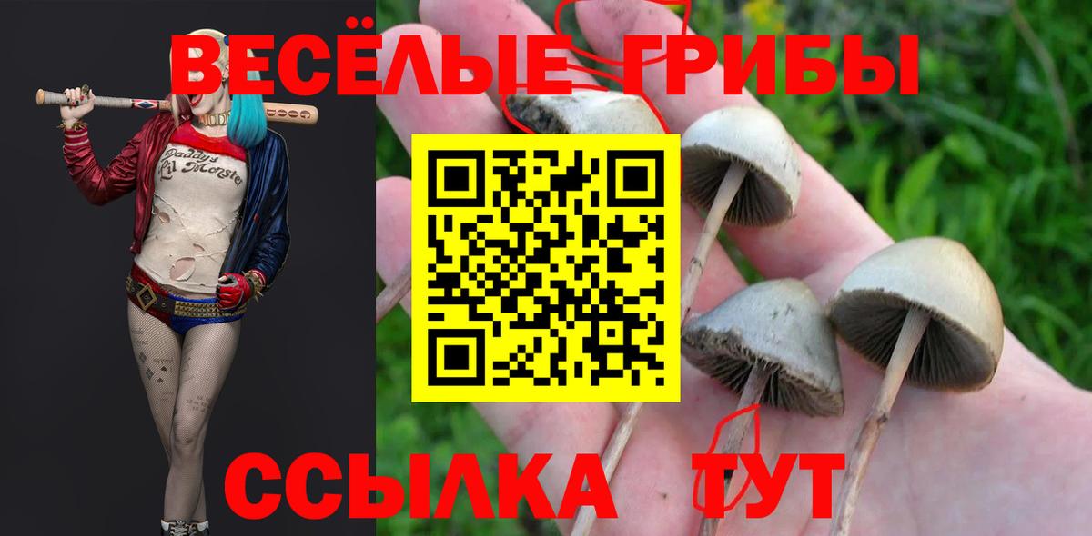 Псилоцибиновые грибы Magic Shrooms Тобольск